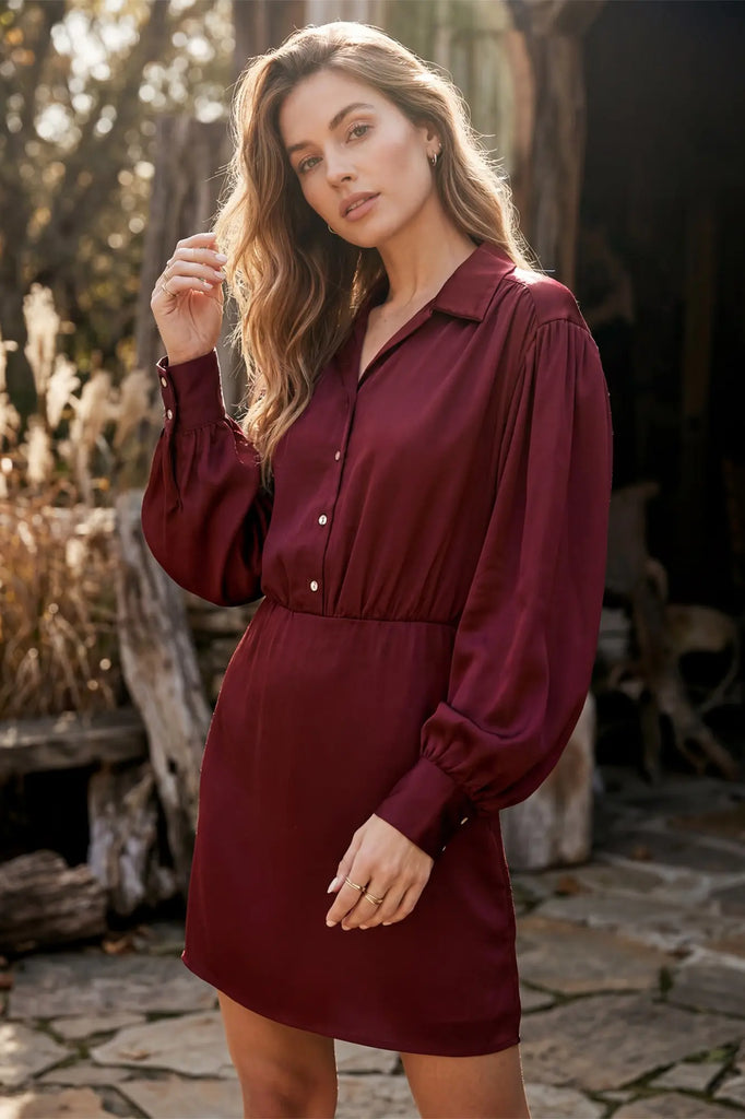 Fall In The City Dress-Wine
